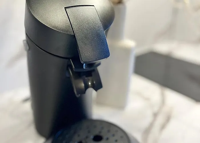 Apartman L'élégance Albi